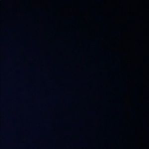 Meet your Posher, Delonte